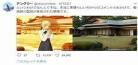 fate士郎和凛补魔